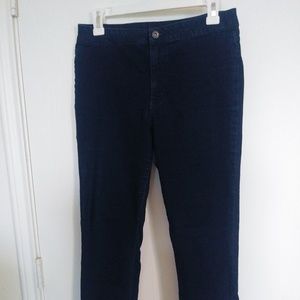 Decree Brand High Rise Jegging Dark Wash